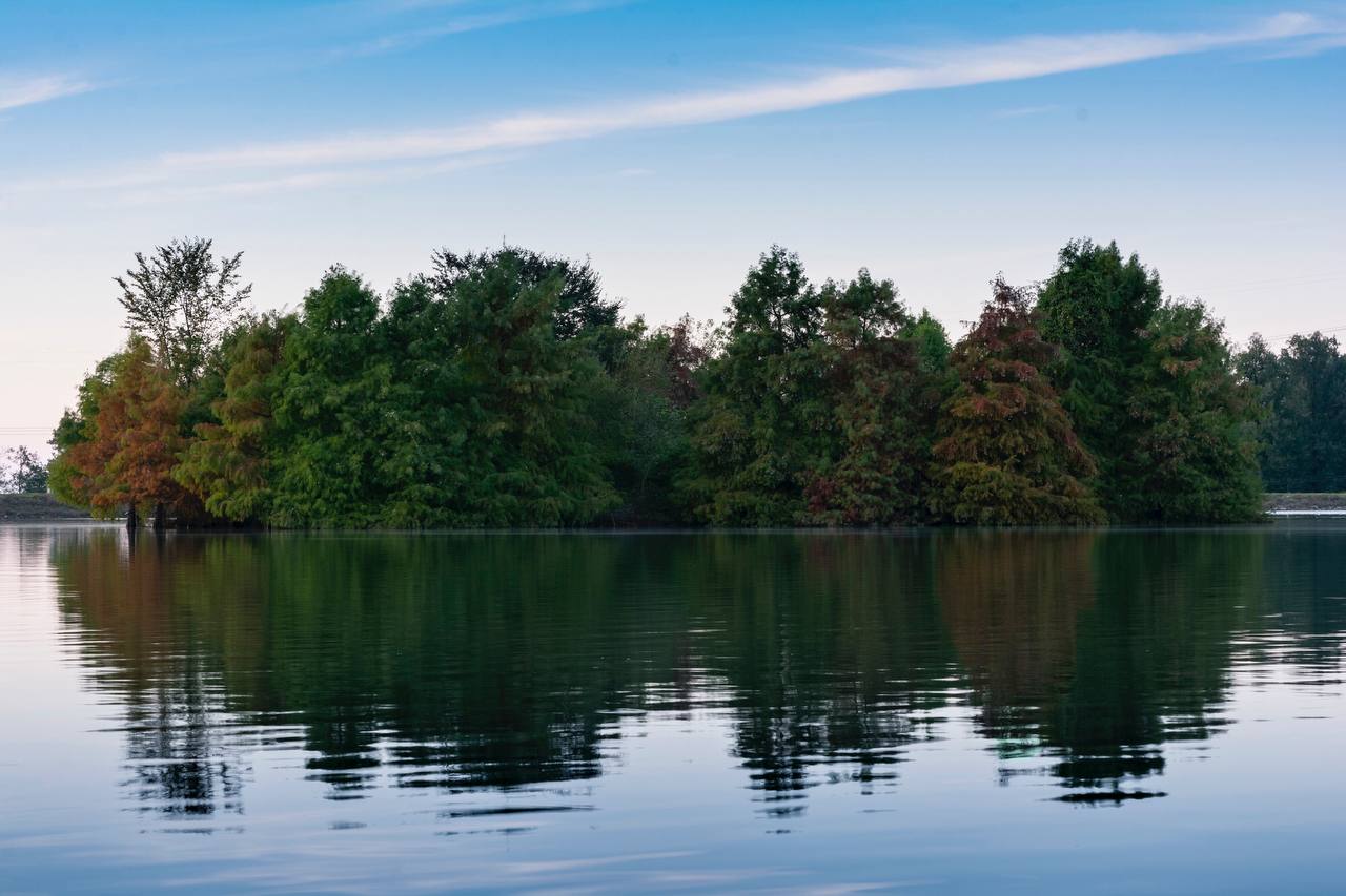 عکاسی، لذت بردن بی‌حد از زندگی است، از هر صدم ثانیه‌ی آن. _مارک ریبو