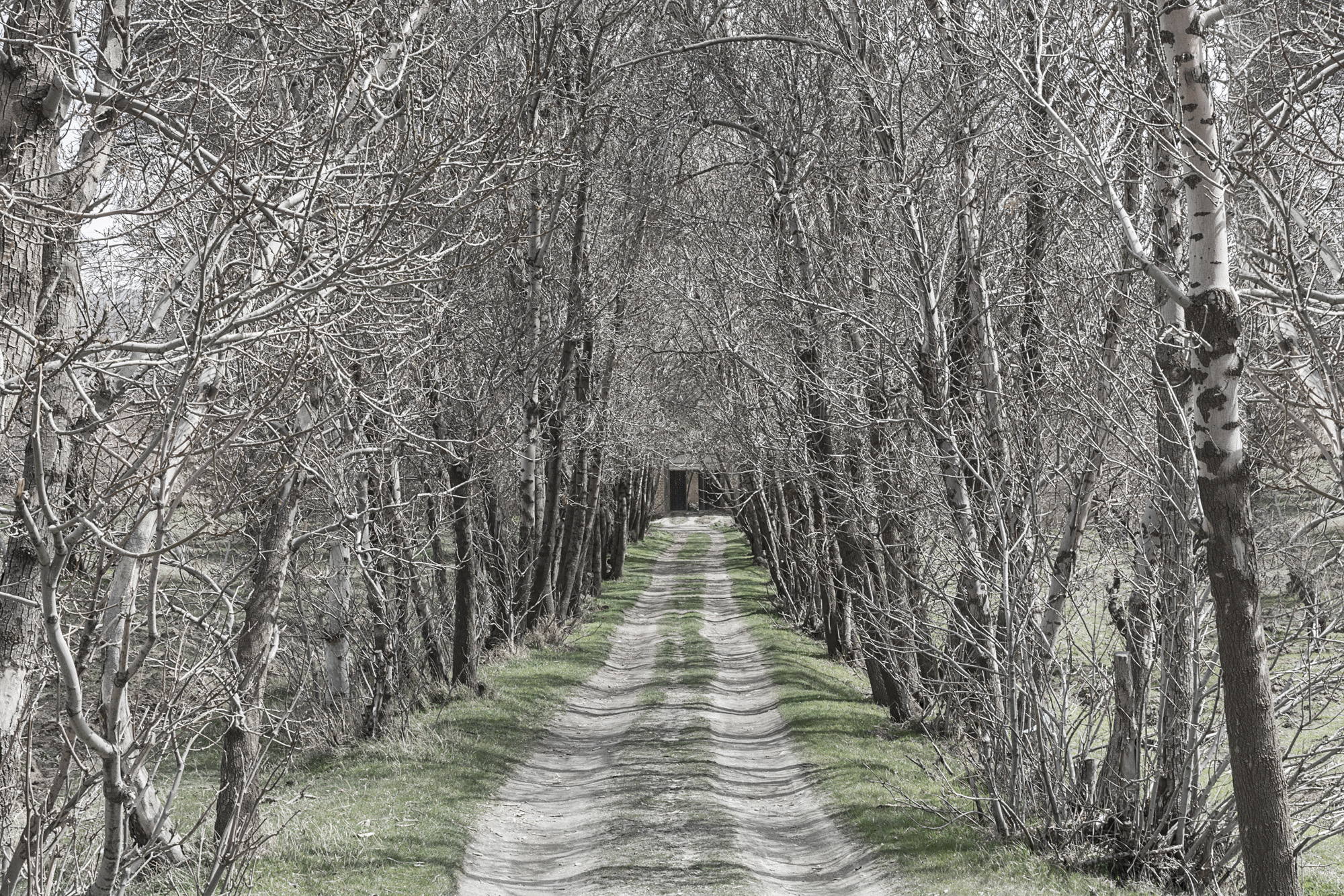 مسیر را کفش‌های رهروان می‌سازد، مسیر به هیچ عنوان خود آن کفش‌ها نیست.
-چوانگ تسه