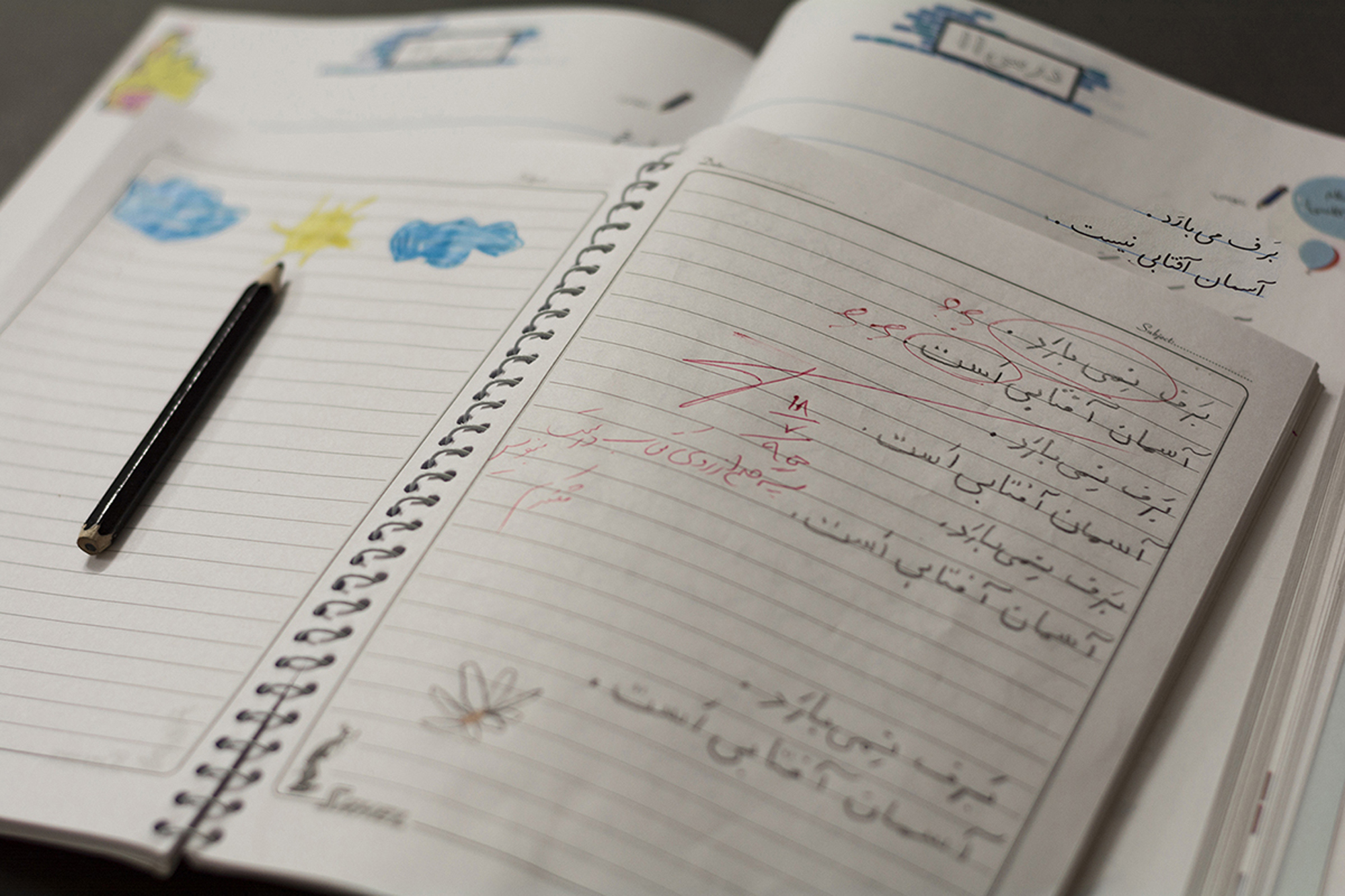 عکس گرفتن، نوعی فریاد زدن یا آزاد کردن خویش است، نه اثبات یا ادعای اصالت خویش. عکاسی یک شیوه زندگی است.
-هنری کارتیه برسون