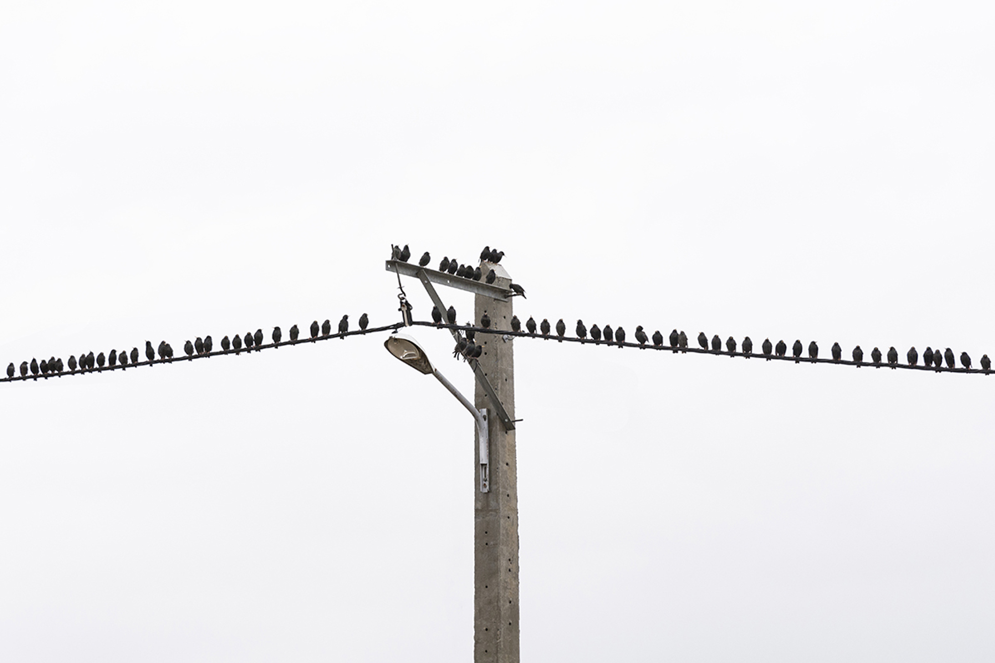 من هرگز دنبال عکس نمی‌گردم، این عکس است که مرا پیدا می‌کند.
-روث برنهارد